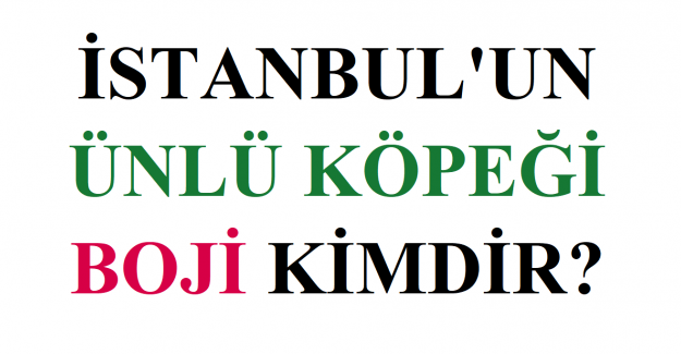 Boji kim? Boji nedir?
