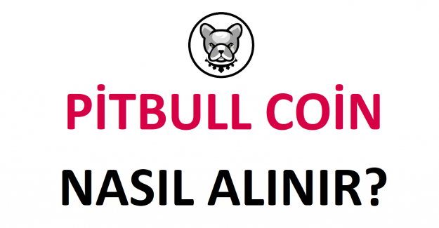 Pitbull Coin Nasıl Alınır?