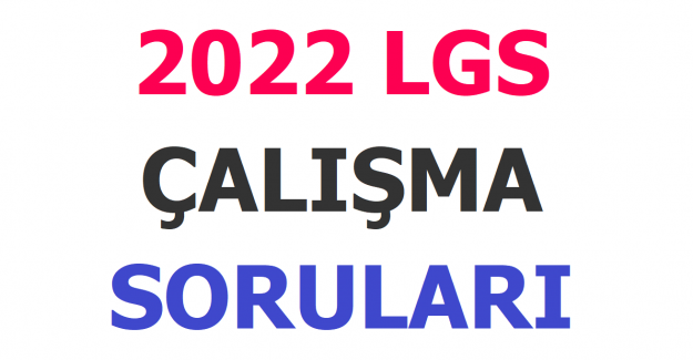 2022 LGS Çalışma Soruları