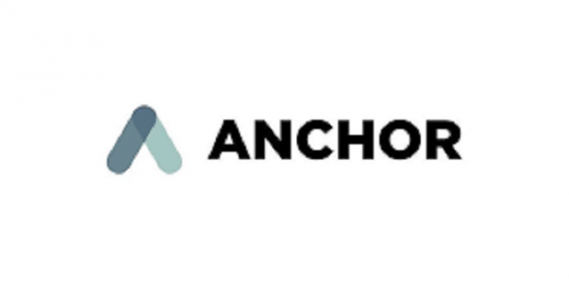 Anchor Protocol (ANC) Token Nedir? Anchor Protocol (ANC) Coin Geleceği