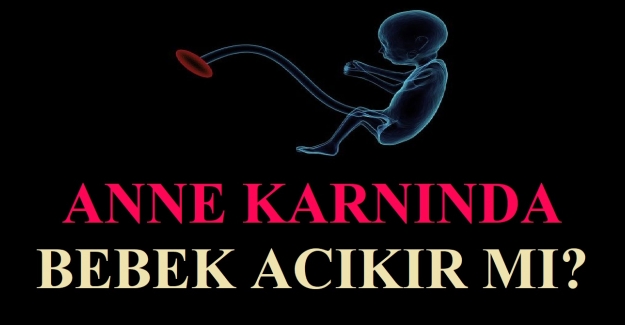 Anne Karnında Bebek Acıkınca Ne Yapar?