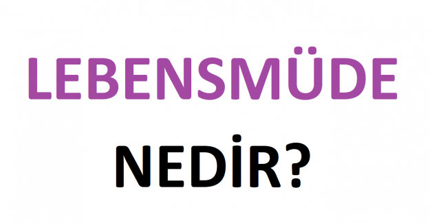 Lebensmüde Nedir?