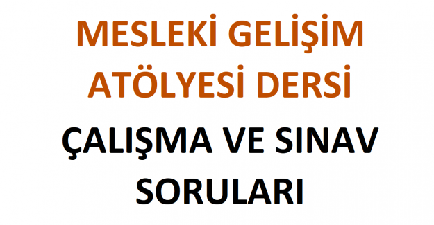 Mesleki Gelişim Atölyesi Dersi Çalışma ve Sınav Soruları 2022