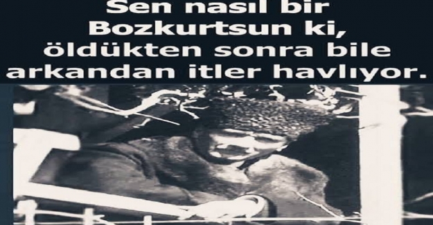 Bozkurt Atatürk'ü Kimler Sevmez?