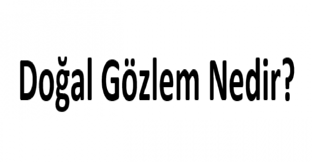 Doğal Gözlem Nedir? Tanım ve Örnekler