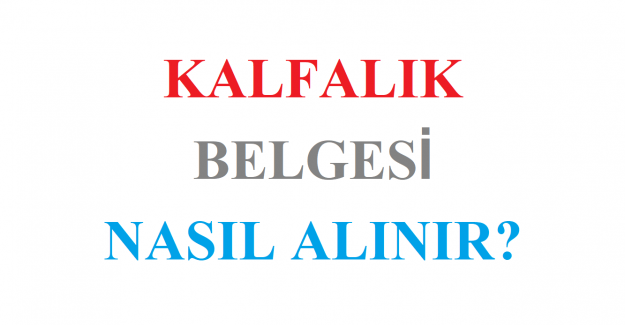 Kalfalık Belgesi Nasıl Alınır?