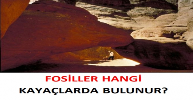 Fosiller Hangi Kayaçlarda Bulunuyor?