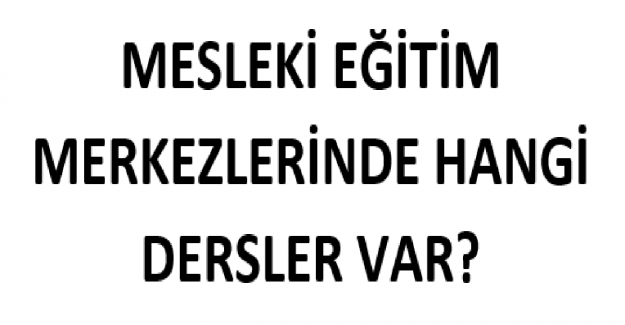 Mesleki Eğitim Merkezlerinde Hangi Dersler Var?