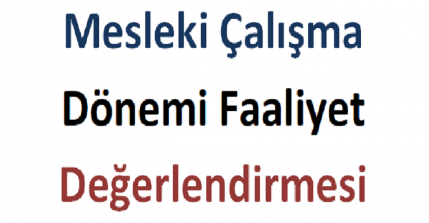 Mesleki Çalışma Dönemi Faaliyet Değerlendirmesi 