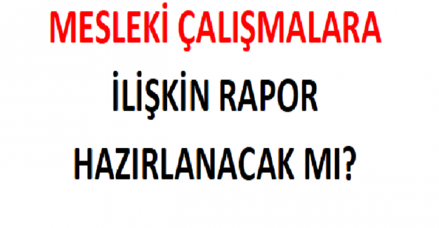 Mesleki Çalışmalara ilişkin Rapor Hazırlanacak mı?
