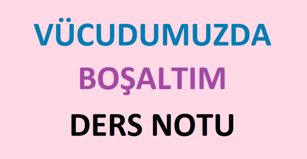 Vücudumuzda Boşaltım Ders Notu