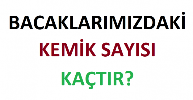 Bacaklarımızdaki Kemik Sayısı Kaçtır?