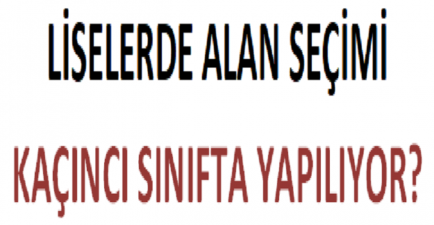 Liselerde Alan Seçimi Kaçıncı Sınıfta Yapılıyor?