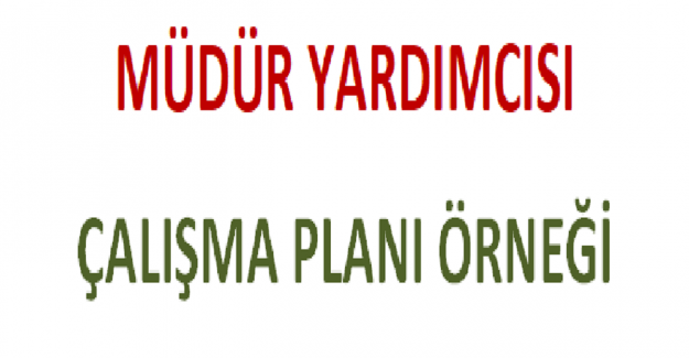Müdür Yardımcısı Çalışma Planı Örneği