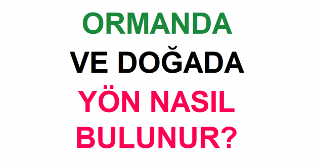Ormanda ve Doğada Yön Nasıl Bulunur?