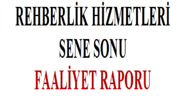 1. Sınıf Rehberlik Hizmetleri Sene Sonu Faaliyet Raporu