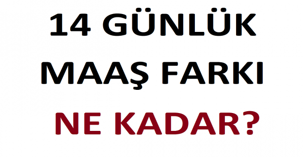 Arsa Alırken Dikkat Edilmesi Gerekenler?