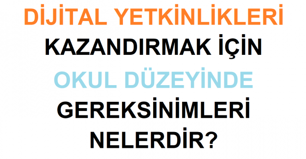 Dijital Yetkinlikleri Kazandırmak İçin Okul Düzeyinde Gereksinimler Nelerdir?