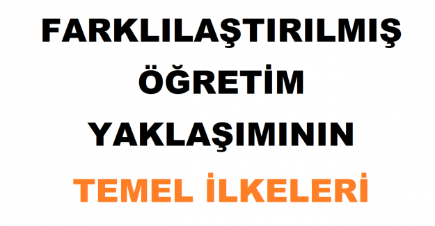 Farklılaştırılmış Öğretim Yaklaşımının Temel İlkeleri Neler?