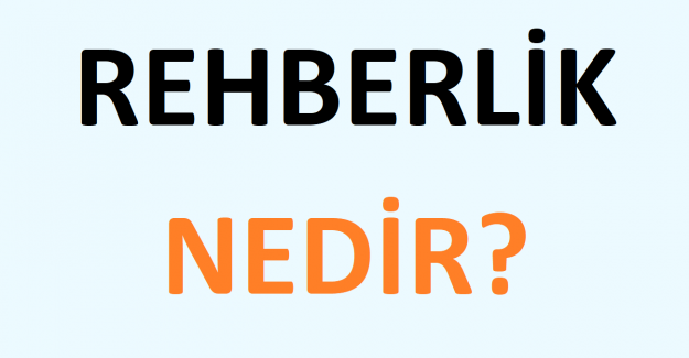 Rehberlik Nedir?