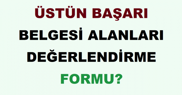 MEB Üstün Başarı Belgesi Alanları Değerlendirme Formu?