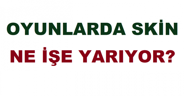 Oyunlarda Skin Ne İşe Yarıyor?