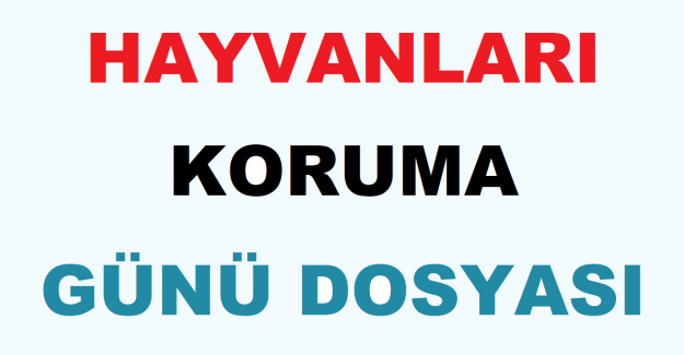 Hayvanları Koruma Günü Dosyası