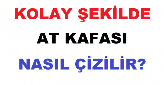 Kolay Şekilde At Kafası Nasıl Çizilir?