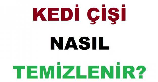 Kedi Çişi Nasıl Temizlenir?