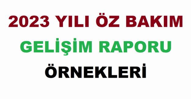 2023 Yılı Öz Bakım Gelişim Raporu Örnekleri