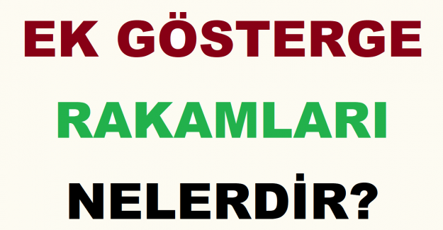 Ek Gösterge Rakamları Nelerdir?