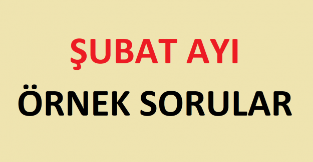 ŞUBAT AYI ÖRNEK SORULAR