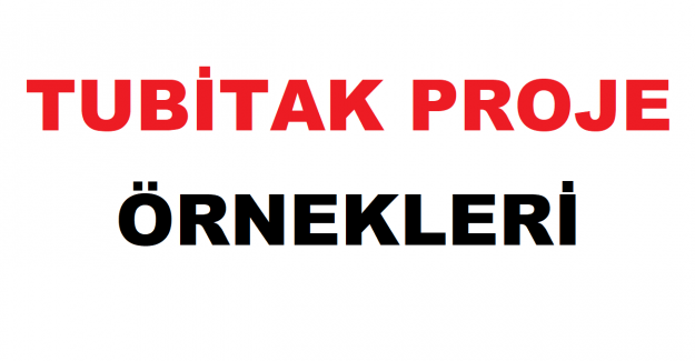 TUBİTAK Proje Örnekleri