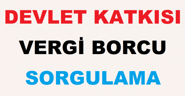 Devlet Katkısı Vergi Borcu Sorgulama