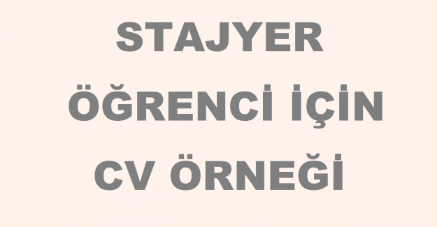 Stajyer Öğrenci İçin Cv Örneği
