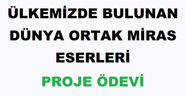 Ülkemizde Bulunan Dünya Ortak Miras Eserleri Proje Ödevi