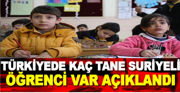 Türkiye'deki Yabancı Öğrenci Sayısı?