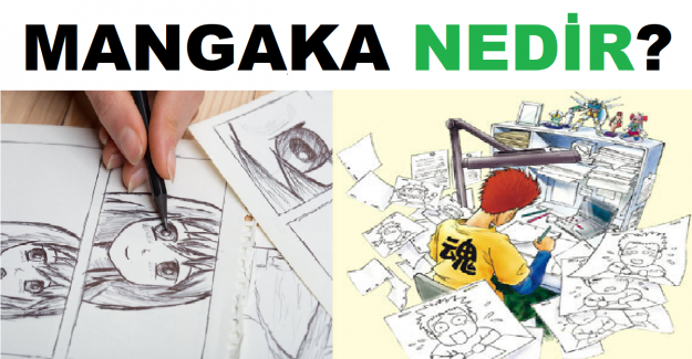 Mangaka Nedir?