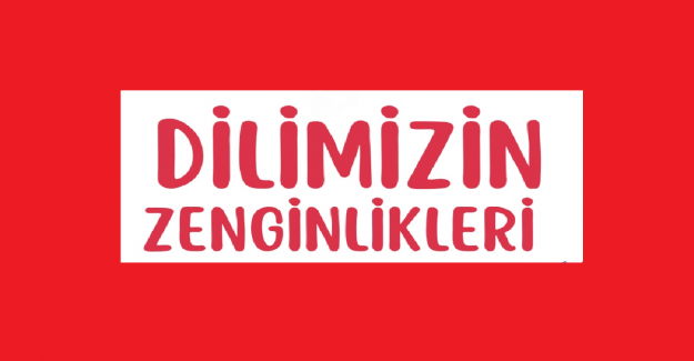 Dilimizin Zenginlikleri Projesi Ocak Ayı Raporu