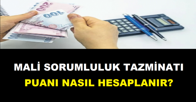 Mali Sorumluluk Tazminatı Puanı Nasıl Hesaplanır?