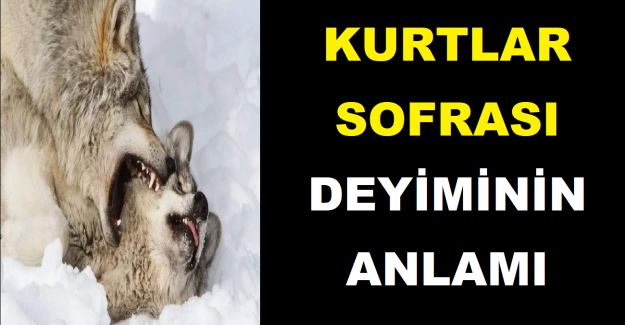 Kurtlar Sofrası Deyiminin Anlamı