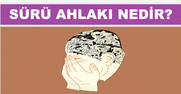 Sürü Ahlakı Nedir?