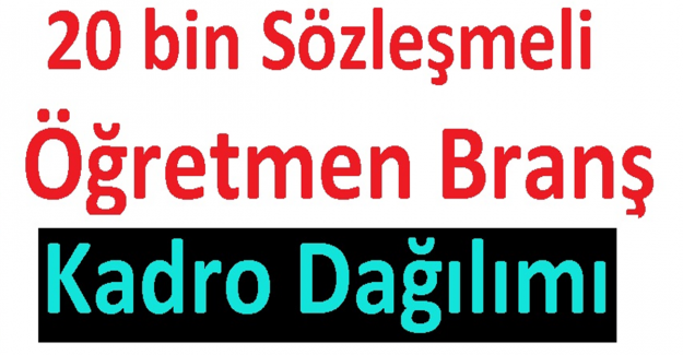 20 Bin Öğretmen Atamasında En Çok Alım Yapılacak Olan Branşlar