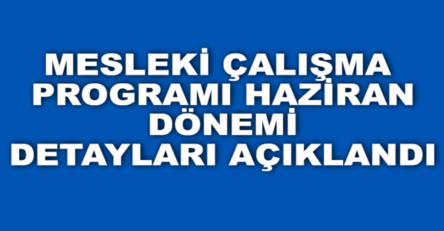 Haziran Ayı Mesleki Çalışma Detayları
