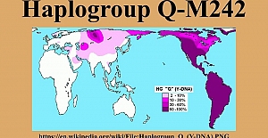 2009 Yilinda Genetik Bilimi Insanlarin Dna Gen Haritalarini Cikarinca Amerika Kitalarinin Yaklasik 40 Inin Kizilderili Oldugu Ortaya Cikti