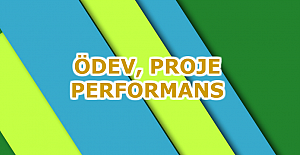 Lise Performans Ödevi Örneği 2025