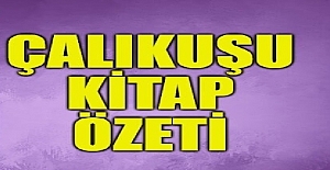 ÇALIŞKUŞU KİTAP ÖZETİ? ÇALIKUŞU NE DEMEK?
