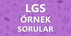 MEB Ocak Ayı LGS Örnek Soruları 2021
