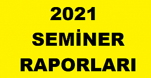 2021 Pandemi Mesleki Çalışma Seminer Raporu
