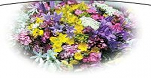 Nevruz Ne Zaman? Nevruz Hangi Tarihte Kutlanıyor?
